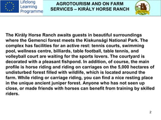 2
AGROTOURISM AND ON FARM
SERVICES – KIRÁLY HORSE RANCH
The Király Horse Ranch awaits guests in beautiful surroundings
where the Gemenci forest meets the Kiskunsági National Park. The
complex has facilities for an active rest: tennis courts, swimming
pool, wellness centre, billiards, table football, table tennis, and
volleyball court are waiting for the sports lovers. The courtyard is
decorated with a pleasant fishpond. In addition, of course, the main
profile is horse riding and riding on carriages on the 5,000 hectares of
undisturbed forest filled with wildlife, which is located around the
farm. While riding or carriage riding, you can find a nice resting place
in the unique ancient juniper forest. Anyone who has not seen up
close, or made friends with horses can benefit from training by skilled
riders.
 