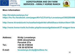 20
AGROTOURISM AND ON FARM
SERVICES – KIRÁLY HORSE RANCH
More information:
http://kiralylovastanya.hu/
https://hu-hu.facebook.com/pages/Kir%C3%A1ly-Lovastanya/2363295498
http://www.kirandulunk.hu/szallashelyek/del-alfold/bacs-kiskun/item/120-j
http://www.horse-trails.hu/index.php/lovasszolgaltatasok/37-magyar-lova
Address: Király Lovastanya
6440 Jánoshalma
Parcelok 27/a
Tel.: +36 30 4150344
+36 30 6270744
E-mail: lovastanya.kiraly@mailbox.hu
 