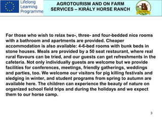 3
AGROTOURISM AND ON FARM
SERVICES – KIRÁLY HORSE RANCH
For those who wish to relax two-, three- and four-bedded nice rooms
with a bathroom and apartments are provided. Cheaper
accommodation is also available: 4-6-bed rooms with bunk beds in
stone houses. Meals are provided by a 50 seat restaurant, where real
rural flavours can be tried, and our guests can get refreshments in the
cafeteria. Not only individually guests are welcome but we provide
facilities for conferences, meetings, friendly gatherings, weddings
and parties, too. We welcome our visitors for pig killing festivals and
sledging in winter, and student programs from spring to autumn are
available here. The children can experience the beauty of nature on
organized school field trips and during the holidays and we expect
them to our horse camp.
 