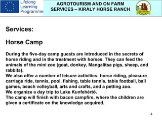 4
AGROTOURISM AND ON FARM
SERVICES – KIRÁLY HORSE RANCH
Services:
Horse Camp
During the five-day camp guests are introduced in the secrets of
horse riding and in the treatment with horses. They can feed the
animals of the mini zoo (goat, donkey, Mangalitsa pigs, sheep, and
rabbits).
We also offer a number of leisure activities: horse riding, pleasure
carriage ride, tennis, pool, fishing, table tennis, table football, ball
games, beach volleyball, arts and crafts, and a petting zoo.
We organize a day trip to Lake Kunfehértó.
The camp will finish with bacon campfire, where the children are
given a certificate on the knowledge acquired.
 