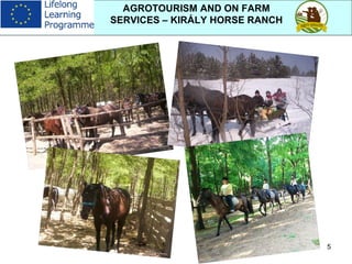 5
AGROTOURISM AND ON FARM
SERVICES – KIRÁLY HORSE RANCH
 