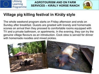 6
AGROTOURISM AND ON FARM
SERVICES – KIRÁLY HORSE RANCH
Village pig killing festival in Király style
The whole weekend program starts on Friday afternoon and ends on
Sunday after breakfast. Guests are greeted with brandy and homemade
scones on arrival then they proceed to comfortable rooms equipped with
TV and a private bathroom, or apartments. In the evening, they can try the
genuine village flavours as an introduction. Cock stew is served for dinner
with homemade noodles and mixed pickles.
 