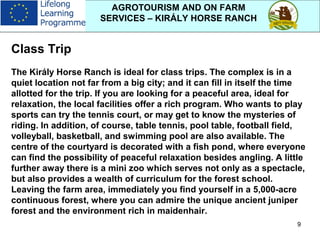 9
AGROTOURISM AND ON FARM
SERVICES – KIRÁLY HORSE RANCH
Class Trip
The Király Horse Ranch is ideal for class trips. The complex is in a
quiet location not far from a big city; and it can fill in itself the time
allotted for the trip. If you are looking for a peaceful area, ideal for
relaxation, the local facilities offer a rich program. Who wants to play
sports can try the tennis court, or may get to know the mysteries of
riding. In addition, of course, table tennis, pool table, football field,
volleyball, basketball, and swimming pool are also available. The
centre of the courtyard is decorated with a fish pond, where everyone
can find the possibility of peaceful relaxation besides angling. A little
further away there is a mini zoo which serves not only as a spectacle,
but also provides a wealth of curriculum for the forest school.
Leaving the farm area, immediately you find yourself in a 5,000-acre
continuous forest, where you can admire the unique ancient juniper
forest and the environment rich in maidenhair.
 
