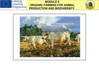 MODULE 6
ORGANIC FARMING FOR ANIMAL
PRODUCTION AND BIODIVERSITY
 