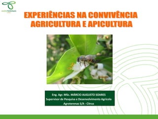 Eng. Agr. MSc. MÁRCIO AUGUSTO SOARES 
Supervisor de Pesquisa e Desenvolvimento Agrícola 
Agroterenas S/A - Citrus  