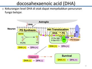 docosahexaenoic acid (DHA)
o Kekurangan level DHA di otak dapat menyebabkan penurunan
fungsi belajar.
10
 