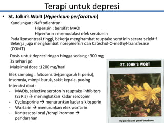 • St. John’s Wort (Hypericum perforatum)
Kandungan : Naftodiantron
Hiperisin : bersifat MAOI
Hiperforin : memodulasi efek serotonin
Pada konsentrasi tinggi, bekerja menghambat reuptake serotinin secara selektif
16
Bekerja juga menghambat norepinefrin dan Catechol-O-methyl-transferase
(COMT)
Efek samping : fotosensitiv(pengaruh hiperisi),
insomnia, mimpi buruk, sakit kepala, pusing
Interaksi obat :
- MAOIs, selective serotonin reuptake inhibitors
(SSRIs)  meningkatkan kadar serotonin
- Cyclosporine  menurunkan kadar siklosporin
- Warfarin  menurunkan efek warfarin
- Kontrasepsi oral /terapi hormon 
pendarahan
Dosis untuk depresi ringan hingga sedang : 300 mg
3x sehari po
Maksimal dose :1200 mg/hari
Terapi untuk depresi
 