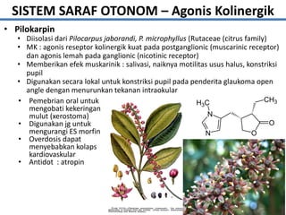 • Pilokarpin
18
• Diisolasi dari Pilocarpus jaborandi, P. microphyllus (Rutaceae (citrus family)
• MK : agonis reseptor kolinergik kuat pada postganglionic (muscarinic receptor)
dan agonis lemah pada ganglionic (nicotinic receptor)
• Memberikan efek muskarinik : salivasi, naiknya motilitas usus halus, konstriksi
pupil
• Digunakan secara lokal untuk konstriksi pupil pada penderita glaukoma open
angle dengan menurunkan tekanan intraokular
• Pemebrian oral untuk
mengobati kekeringan
mulut (xerostoma)
• Digunakan jg untuk
mengurangi ES morfin
• Overdosis dapat
menyebabkan kolaps
kardiovaskular
• Antidot : atropin
SISTEM SARAF OTONOM – Agonis Kolinergik
 