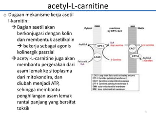 acetyl-L-carnitine
o Dugaan mekanisme kerja asetil
l-karnitin:
Bagian asetil akan
berkonjugasi dengan kolin
dan membentuk asetilkolin
 bekerja sebagai agonis
kolinergik pasrsial
acetyl-L-carnitine juga akan
membantu pergerakan dari
asam lemak ke sitoplasma
dari mitokondira, dan
diubah menjadi ATP,
sehingga membantu
penghilangan asam lemak
rantai panjang yang bersifat
toksik
5
 