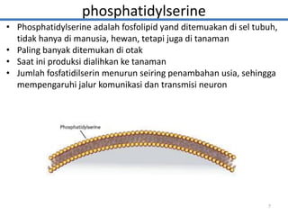 phosphatidylserine
• Phosphatidylserine adalah fosfolipid yand ditemuakan di sel tubuh,
tidak hanya di manusia, hewan, tetapi juga di tanaman
• Paling banyak ditemukan di otak
• Saat ini produksi dialihkan ke tanaman
• Jumlah fosfatidilserin menurun seiring penambahan usia, sehingga
mempengaruhi jalur komunikasi dan transmisi neuron
7
 