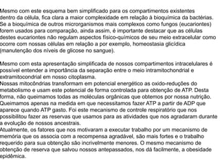 Mesmo com este esquema bem simplificado para os compartimentos existentes
dentro da célula, fica clara a maior complexidade em relação à bioquímica da bactérias.
Se a bioquímica de outros microrganismos mais complexos como fungos (eucariontes)
forem usados para comparação, ainda assim, é importante destacar que as células
destes eucariontes não regulam aspectos físico-químicos de seu meio extracelular como
ocorre com nossas células em relação a por exemplo, homeostasia glicídica
(manutenção dos níveis de glicose no sangue).
Mesmo com esta apresentação simplificada de nossos compartimentos intracelulares é
possível entender a importância da separação entre o meio intramitochondrial e
extramitocondrial em nosso citoplasma.
Nossas mitocôndrias transformam em potencial energético as oxido-reduções do
metabolismo e usam este potencial de forma controlada para obtenção de ATP. Desta
forma, não queimamos todas as moléculas orgânicas que obtemos por nossa nutrição.
Queimamos apenas na medida em que necessitamos fazer ATP a partir de ADP que
aparece quando ATP gasto. Foi este mecanismo de controle respiratório que nos
possibilitou fazer as reservas que usamos para as atividades que nos agradaram durante
a evolução de nossos ancestrais.
Atualmente, os fatores que nos motivaram a executar trabalho por um mecanismo de
memória que os associa com a recompensa agradável, são mais fortes e o trabalho
requerido para sua obtenção são incrivelmente menores. O mesmo mecanismo de
obtenção de reserva que salvou nossos antepassados, nos dá facilmente, a obesidade
epidêmica.
 