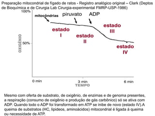 Mesmo com oferta de substrato, de oxigênio, de enzimas e de genoma presentes,
a respiração (consumo de oxigênio e produção de gás carbônico) só se ativa com
ADP. Quando todo o ADP foi transformado em ATP se inibe de novo (estado IV).A
queima de substratos (HC, lipideos, aminoàcidos) mitocondrial é ligada à queima
ou necessidade de ATP.
Preparação mitocondrial de fígado de ratos - Registro analógico original – Clark (Deptos
de Bioquímica e de Cirurgia Lab Cirurgia-experimental FMRP-USP-1986)
 