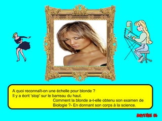 A quoi reconnaît-on une échelle pour blonde ? 
Il y a écrit 'stop' sur le barreau du haut. 
Comment la blonde a-t-elle obtenu son examen de 
Biologie ?- En donnant son corps à la science. 
 