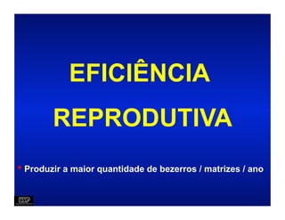 EFICIÊNCIA
        REPRODUTIVA
• Produzir a maior quantidade de bezerros / matrizes / ano
 