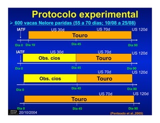 Protocolo experimental
 600 vacas Nelore paridas (55 a 70 dias; 10/08 a 25/08)
   IATF               US 30d            US 70d                 US 120d
                               Touro
  Dia 0 Dia 10                 Dia 45                        Dia 90

  IATF               US 30d             US 70d                 US 120d
                 Obs. cios              Touro
  Dia 0                        Dia 45                       Dia 90
                                        US 70d                 US 120d
                 Obs. cios              Touro
   Dia 0                       Dia 45                       Dia 90
                                         US 70d                 US 120d
                               Touro
   Dia 0                       Dia 45                        Dia 90
    20/10/2004                                   (Penteado et al.,2005)
 