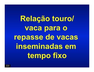 Relação touro/
   vaca para o
repasse de vacas
 inseminadas em
    tempo fixo
 