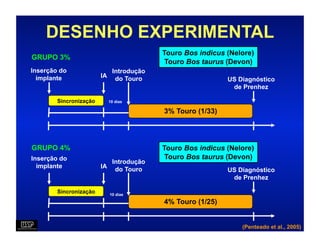 DESENHO EXPERIMENTAL
                                           Touro Bos indicus (Nelore)
GRUPO 3%
                                            Touro Bos taurus (Devon)
Inserção do                   Introdução
  implante              IA     do Touro                      US Diagnóstico
                                                              de Prenhez

        Sincronização        10 dias

                                           3% Touro (1/33)




GRUPO 4%                                   Touro Bos indicus (Nelore)
Inserção do                                 Touro Bos taurus (Devon)
                              Introdução
  implante              IA     do Touro                      US Diagnóstico
                                                              de Prenhez

        Sincronização        10 dias

                                           4% Touro (1/25)


                                                                 (Penteado et al., 2005)
 