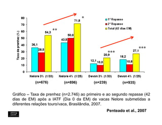 *

                     **


                                                                    ***
                                                    ***




           (n=676)        (n=896)         (n=239)         (n=935)


Gráfico – Taxa de prenhez (n=2.746) ao primeiro e ao segundo repasse (42
dias de EM) após a IATF (Dia 0 da EM) de vacas Nelore submetidas a
diferentes relações touro/vaca, Brasilândia, 2007.
                                                 Penteado et al., 2007
 