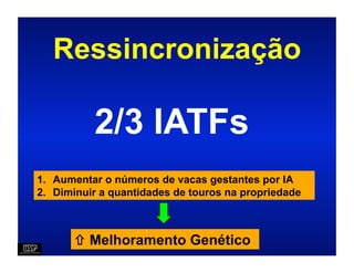 Ressincronização

           2/3 IATFs
1.  Aumentar o números de vacas gestantes por IA
2.  Diminuir a quantidades de touros na propriedade



        Melhoramento Genético
 