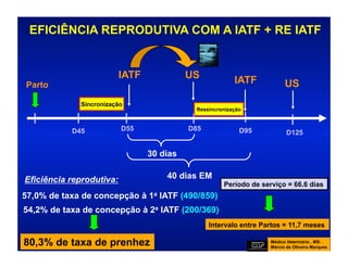 EFICIÊNCIA REPRODUTIVA COM A IATF + RE IATF


                          IATF             US            IATF
Parto                                                                    US
             Sincronização
                                            Ressincronização



           D45            D55              D85             D95            D125


                                 30 dias

Eficiência reprodutiva:              40 dias EM
                                                     Período de serviço = 66.6 dias
57,0% de taxa de concepção à 1a IATF (490/859)
54,2% de taxa de concepção à 2a IATF (200/369)
                                                 Intervalo entre Partos = 11,7 meses

80,3% de taxa de prenhez                                           Médico Veterinário , MS:
                                                                   Márcio de Oliveira Marques
 