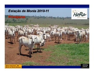 Médico Veterinário , MS:
Márcio de Oliveira Marques
 