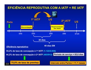 EFICIÊNCIA REPRODUTIVA COM A IATF + RE IATF



Parto

               Sincronização                 Ressincronização
                                                Das Vazias



            D45            D55             D85              D95     D125


                                 30 dias


Eficiência reprodutiva:               40 dias EM

55,2% de taxa de concepção à 1a IATF (1.122/2.034)
44,2% de taxa de concepção à 2a IATF (403/912) Período de serviço = 65,6 dias


    75,0% de taxa de prenhez                Intervalo entre Partos = 11,7 meses
 