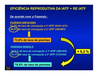 EFICIÊNCIA REPRODUTIVA DA IATF + RE IATF




  73,6% de taxa de prenhez




  78,8% de taxa de prenhez
 