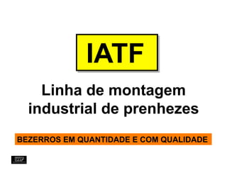 IATF
    Linha de montagem
  industrial de prenhezes
BEZERROS EM QUANTIDADE E COM QUALIDADE
 