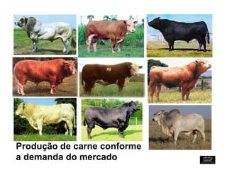 Produção de carne conforme
a demanda do mercado
 