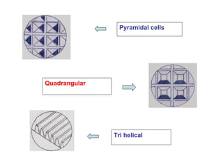 Pyramidal cells Quadrangular Tri helical 