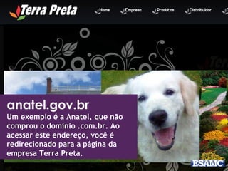 anatel.gov.br 
Um exemplo é a Anatel, que não 
comprou o domínio .com.br. Ao 
acessar este endereço, você é 
redirecionado para a página da 
empresa Terra Preta. 
 