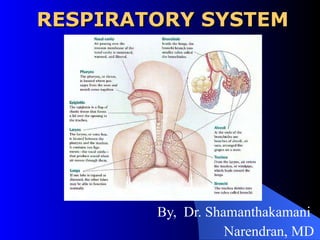 RESPIRATORY SYSTEM By,  Dr. Shamanthakamani  Narendran, MD 