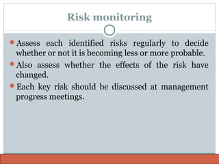 Risk Management | PPT