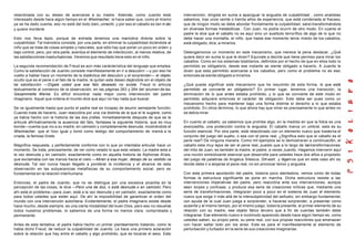 relaciónada con su deseo de acercarse a su madre. Además, como Juanito está
interesado desde hace algún tiempo en el Wiwimacher, le hace saber que, como el mismo
ya se ha dado cuenta, eso no está del todo bien, unrecht, y por eso el caballo es tan m alo
y quiere morderle.
Esto nos lleva lejos, porque de entrada tenemos una maniobra directa sobre la
culpabilidad. Tal maniobra consiste, por una parte, en eliminar la culpabilidad diciéndole al
niño que se trata de cosas simples y naturales, que sólo hay que poner un poco en orden y
bajo control, pero, por otra parte, acentúa el elemento de interdicción, al menos relativa, de
las satisfacciónes masturbatorias. Veremos que resultado tiene esto en el niño.
La segunda recomendación de Freud es aún más carácterística del lenguaje que emplea.
Como la satisfacción de Juanito consiste manifiestamente en ir a descubrir —y por eso he
vuelto a hablar hace un momento de la dialéctica del descubrir y el sorprender— el objeto
oculto que es el pene o el falo de la madre, le quitan este deseo dejándole sin el objeto de
tal satisfacción —Dígale usted que ese falo deseado no existe. Freud lo articula
textualmente al comienzo de la observación, en las páginas 263 y 264 del volumen de las
Gesammelte Werke. Es difícil encontrar nada mejor como intervención del padre
imaginario. Aquel que ordena el mundo dice que aquí no hay nada que buscar.
Se ve igualmente hasta que punto el padre real es incapaz de asumir semejante función;
Cuando trata de hacerlo, Juan reaccióna por una vía distinta de la que el le sugiere, como
ya había hecho con la historia de las dos jirafas. Inmediatamente después de que se le
articule afirmativamente la ausencia del falo, fantasea la siguiente historia, que es muy
bonita—cuenta que vio a su madre, en camisón y completamente desnuda, mostrándole el
Wiwimacher, que el hizo igual y tomó como testigo del comportamiento de mamá a la
criada, la famosa Grete.
Magnifica respuesta, y perfectamente conforme con lo que yo intentaba articular hace un
momento. Se trata, precisamente, de ver como velado lo que esta velado. La madre esta a
la vez desnuda y en camisón, exactamente como en aquella historia de Alphonse Allais,
que exclamaba con las manos hacia el cielo —Miren a esa mujer, debajo de su vestido va
desnuda. Tal vez nunca hayan llegado a ponderar la incidencia y el alcance de esta
observación en las subyacencias metafísicas de su comportamiento social, pero es
fundamental en la relación interhumana.
Entonces, el padre de Juanito, que no se distingue por una excesiva picardía en la
percepción de las cosas, le dice —Pero una de dos, o está desnuda o en camisón. Pero
ahí está el problema—para Juan, está a la vez desnuda y en camisón, exactamente como
para todos ustedes que están aquí. De ahí la imposibilidad de garantizar el orden del
mundo con una intervención autoritaria. Evidentemente, el padre imaginario existe desde
hace mucho, desde siempre, es una cierta modalidad del buen Dios, pero eso no resuelve
todos nuestros problemas, lo sabemos de una forma no menos clara, comprobada y
permanente.
Antes de esta tentativa, el padre había hecho un primer planteamiento tratando, como le
habla dicho Freud, de reducir la culpabilidad de Juanito. Le hace una primera aclaración
sobre la relación que hay entre el caballo y algo prohibido, que es tocarse el sexo. Esta
intervención, dirigida en suma a apaciguar la angustia de culpabilidad , como analistas
sabemos, tras unos veinte o treinta años de experiencia, que está condenada al fracaso,
que de ningún modo se debe abordar frontalmente la culpabilidad, salvo transformándola
en diversas formas metabólicas . Con Juan, no podía ocurrir de otro modo. En cuanto el
padre le dice que el caballo no es aquí sino un sustituto terrorífico de algo de lo que no
debe hacer una montaña, el niño, que hasta ese momento tenía miedo de los caballos,
está obligado, dice, a mirarlos.
Detengamonos un momento en este mecanismo, que merece la pena destacar. ¿Qué
quiere decir en suma lo que le dicen? Equivale a decirle que tiene permiso para mirar los
caballos. Como en los sistemas totalitarios, definidos por el hecho de que en ellos todo lo
permitido es obligatorio, desde ese instante se siente obligado a hacerlo. A Juanito le
dicen que esta permitido acercarse a los caballos, pero como el problema no es ese,
entonces se siente obligado a mirarlos.
¿Qué puede significar este mecanismo que he resumido de esta forma, lo que está
permitido se convierte en obligatorio? En primer lugar, tenemos una transición, la
eliminación de lo que antes estaba prohibido, y lo que se convierte de este modo en
permitido adquiere entonces el carácter de obligación. Esto debe ser pues como un
mecanismo hecho para mantener bajo una forma distinta el derecho a lo que estaba
prohibido. En otros términos, lo que ahora hay que mirar es precisamente lo que antes no
se debía mirar.
En cuanto al caballo, ya sabemos que prohibe algo, en la medida en que la fobia es una
avanzadilla, una protección contra la angustia. El caballo marca un umbral, esta es su
función esencial. Por otra parte, está relaciónado con un elemento nuevo que trastorna el
conjunto del juego del sujeto, o sea con el pene real. ¿Significa esto que el caballo es el
pene real? De ninguna manera. Como mil ejemplos se lo demostraran a continuaci6n, el
caballo esta muy lejos de ser el pene real, puesto que a lo largo de lastransformaciones
del mito de Juan, es también la madre, el padre, a veces Juanito. Hagamos intervenir aquí
una noción simbolizante esencial que desarrolle para ustedes hace dos años a propósito
del juego de palabras de Angelus Silesius, Ort-wort, y digamos que en este caso ahí es
donde debe ir a alojarse el pene real, no sin provocar temor y angustia.
Con esta primera aportación del padre, todavía poco alentadora, vemos como de todas
formas la estructura significante se pone en marcha. Dicha estructura resiste a las
intervenciones imperativas del padre, pero reaccióna ante sus intervenciones, aunque
sean torpes y confusas, y produce esa serie de creaciones míticas que, mediante una
serie de transformaciones, integraran poco a poco en el sistema de Juan el elemento
nuevo que exige ír más allá de la intersubjetividad del señuelo, sin embargo fundamental,
con ayuda de la cual Juan juega a sorprender, a hacerse sorprender, a presentar como
ausente y al mismo tiempo, por el mismo juego, todavía presente, el primer elemento de su
relación con su madre, ese objeto fálico tercero que a fin de cuentas también debe
integrarse. Ese elemento nuevo e incómodo aparecido desde hace algún tiempo es, como
ustedes saben, su propio pene, su pene real, con sus propias reacciónes que amenazan
con hacer saltar todo por los aires. Este es para el manifiestamente el elemento de
perturbación y turbador en la serie de sus creaciones imaginarias.
 