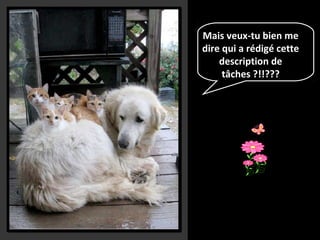 Mais veux-tu bien me
dire qui a rédigé cette
description de
tâches ?!!???
 