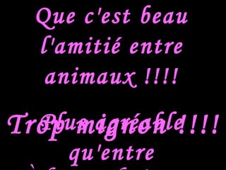 Trop mignon !!!!
Que c'est beau
l'amitié entre
animaux !!!!
Plus agréable
qu'entre
 