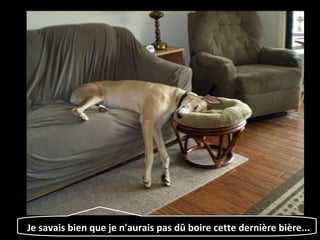 Je savais bien que je n'aurais pas dû boire cette dernière bière...
 