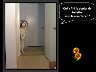 Qui a fini le papier de
toilette
sans le remplacer ?
 