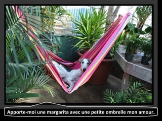 Apporte-moi une margarita avec une petite ombrelle mon amour.
 