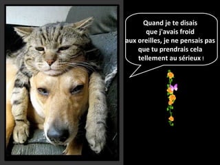 Quand je te disais
que j'avais froid
aux oreilles, je ne pensais pas
que tu prendrais cela
tellement au sérieux !
 