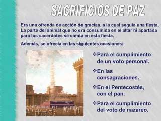SACRIFICIOS DE PAZ Era una ofrenda de acción de gracias, a la cual seguía una fiesta. La parte del animal que no era consumida en el altar ni apartada para los sacerdotes se comía en esta fiesta. Además, se ofrecía en las siguientes ocasiones: Para el cumplimiento de un voto personal. En las consagraciones. En el Pentecostés, con el pan. Para el cumplimiento del voto de nazareo. 