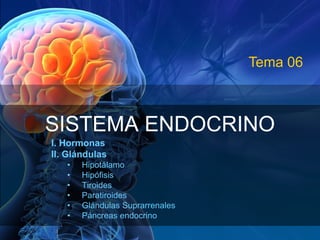 Tema 06



SISTEMA ENDOCRINO
I. Hormonas
II. Glándulas
   •   Hipotálamo
   •   Hipófisis
   •   Tiroides
   •   Paratiroides
   •   Glándulas Suprarrenales
   •   Páncreas endocrino
 