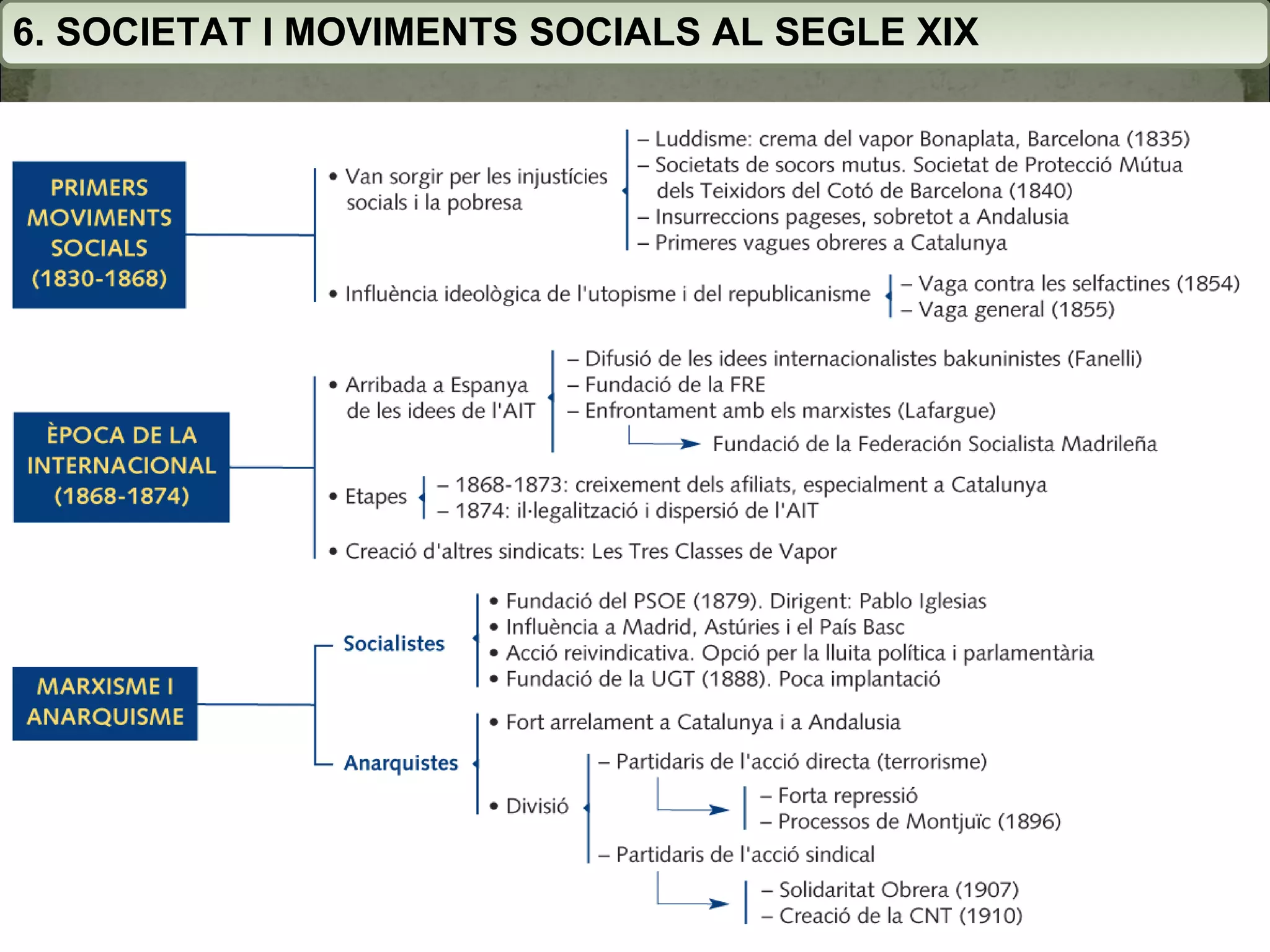 6. SOCIETAT I MOVIMENTS SOCIALS AL SEGLE XIX 