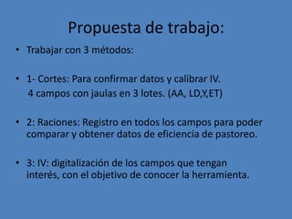 Propuesta de trabajo:
• Trabajar con 3 métodos:

• 1- Cortes: Para confirmar datos y calibrar IV.
  4 campos con jaulas en 3 lotes. (AA, LD,Y,ET)

• 2: Raciones: Registro en todos los campos para poder
  comparar y obtener datos de eficiencia de pastoreo.

• 3: IV: digitalización de los campos que tengan
  interés, con el objetivo de conocer la herramienta.
 