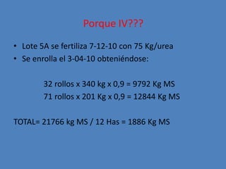 Porque IV???
• Lote 5A se fertiliza 7-12-10 con 75 Kg/urea
• Se enrolla el 3-04-10 obteniéndose:

        32 rollos x 340 kg x 0,9 = 9792 Kg MS
        71 rollos x 201 Kg x 0,9 = 12844 Kg MS

TOTAL= 21766 kg MS / 12 Has = 1886 Kg MS
 