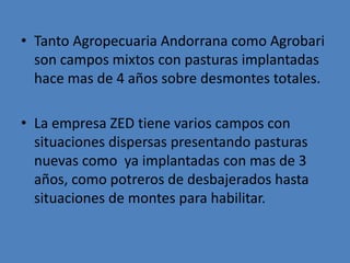 • Tanto Agropecuaria Andorrana como Agrobari
  son campos mixtos con pasturas implantadas
  hace mas de 4 años sobre desmontes totales.

• La empresa ZED tiene varios campos con
  situaciones dispersas presentando pasturas
  nuevas como ya implantadas con mas de 3
  años, como potreros de desbajerados hasta
  situaciones de montes para habilitar.
 