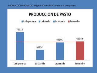 PRODUCCION PROMEDIO MS/HA POR PUESTO (ultimas 4 campañas)
 