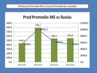 Produccion Promedio MS vs Lluvias Promedio por campaña
 