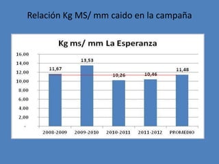 Relación Kg MS/ mm caido en la campaña
 