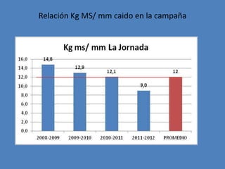 Relación Kg MS/ mm caido en la campaña
 
